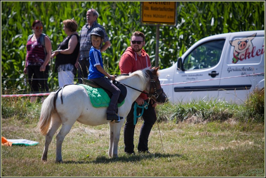 Mounted Games 233